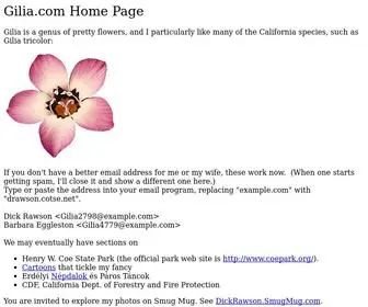 Gilia.com(Family Domain) Screenshot