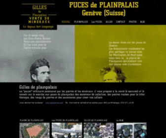 Gilles-DE-Plainpalais.com(Les Puces de Genève) Screenshot