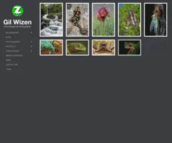 Gilwizen.com(Gil Wizen) Screenshot