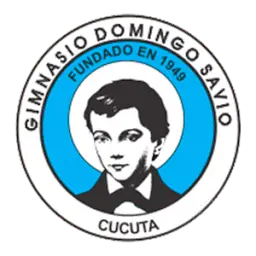 Gimnasiodomingosavio.edu.co Favicon