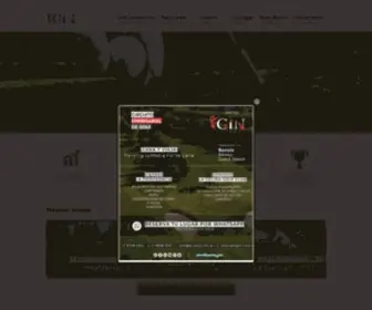 Gingolf.com.ar(Empresa con 37 años de trayectoria especializada en organización de eventos de golf) Screenshot