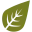 Giomat.it Favicon