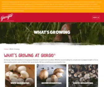 Giorgiofoods.com(Giorgio Products) Screenshot