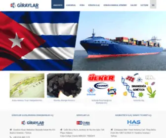 Giraylar.com.tr(Uluslararası Danışmanlık A.Ş) Screenshot