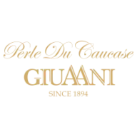 Giuaani.ge Logo