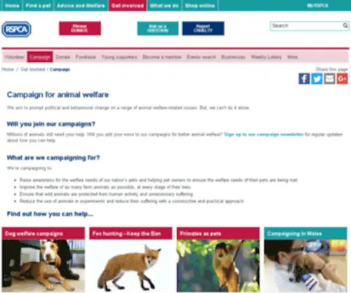 Giveanimalsavoice.org.uk(Giveanimalsavoice) Screenshot