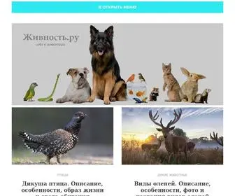 Givnost.ru(Живность.ру) Screenshot