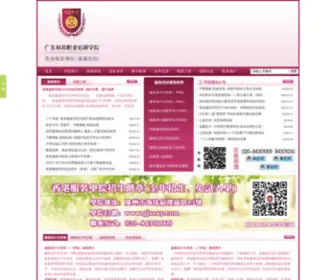 GJSSXY.com(广东时尚职业培训学院网站) Screenshot