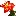 Glasslilies.com Favicon