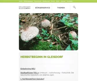 Gleisdorf.at(Stadtgemeinde Gleisdorf Startseite) Screenshot