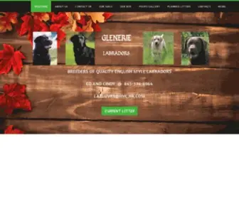 Glenerielabradors.com(Glenerie Labradors AKC Breeder) Screenshot