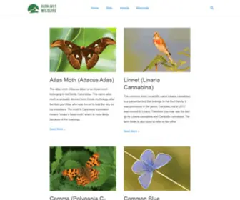 Glenlivet-Wildlife.co.uk(Glenlivet Wildlife) Screenshot