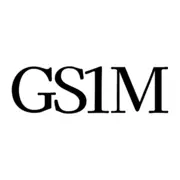 Globalsystems1Management.com Favicon