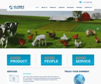 Globexusa.com(Globex International Inc) Screenshot