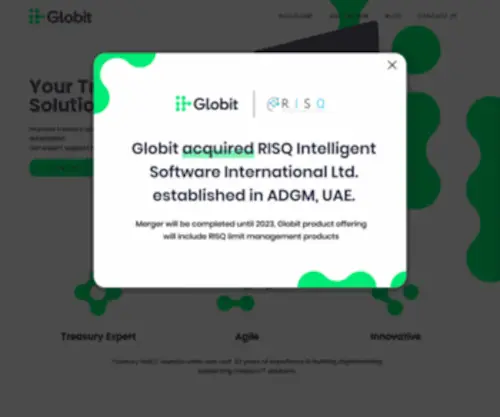 Globit.com.tr(Your Treasury Solutions Partner) Screenshot