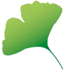 Glucosmart.com Favicon