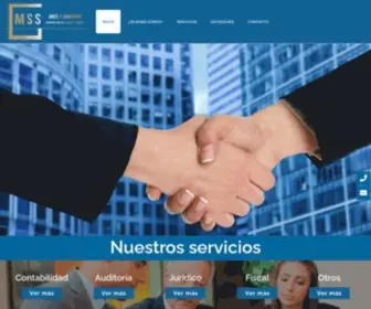 GMSS-Asociados.com.mx(GMSS Asociados) Screenshot