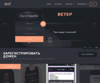 GNT-Craft.ru(Хостинг) Screenshot