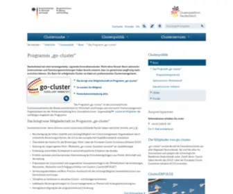 GO-Cluster.de(GO Cluster) Screenshot