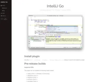 GO-Ide.com(IntelliJ Go) Screenshot