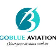 Goblueaviation.com Favicon