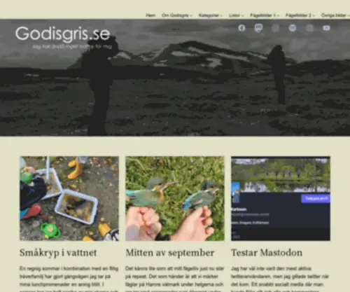 Godisgris.se(Jag) Screenshot