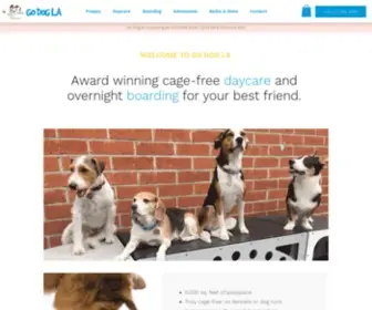 Godogla.com(Cage-free Day Care And Boarding) Screenshot