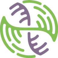 Gofetchonline.com Favicon