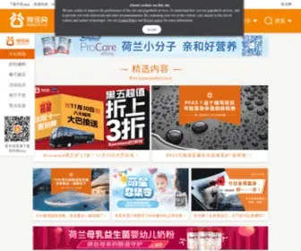 Gogodutch.com(荷乐网) Screenshot