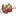 Goguma.tv Favicon