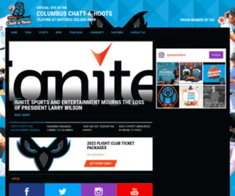 Gohoots.com(Ignite Sports and Entertainment) Screenshot