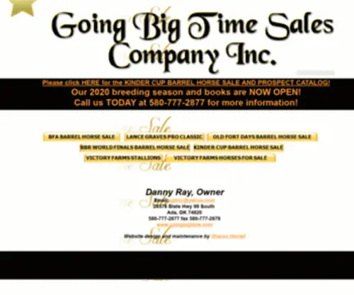 Goingbigtime.com(Going Big Time Sales Company Inc) Screenshot
