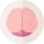 Gokselsomay.com Favicon