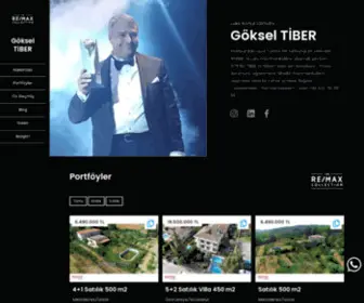 Gokseltiber.com(Göksel TİBER) Screenshot