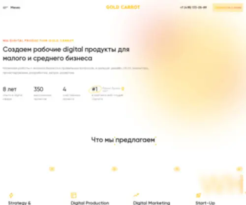 Goldcarrot.ru(Создание и продвижение сайтов в Сургуте) Screenshot