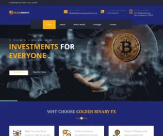 Goldenbinaryfx.com(Global Exponential trade) Screenshot