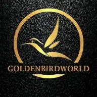 GoldenbirdWorld.com.ng Favicon