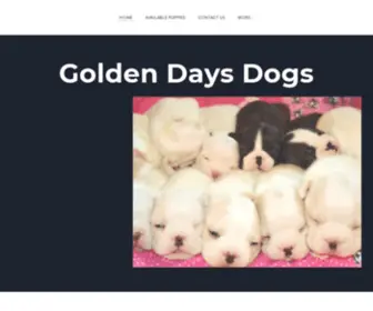 Goldendaysdogs.com(Goldendaysdogs) Screenshot