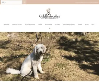 Goldendoodles.se(Säkert världens sötaste hundar) Screenshot