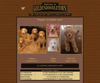 Goldendoodletown.com(ADORABLE GOLDENDOODLE PUPPIES) Screenshot