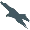 Goldeneagleaudubon.org Favicon