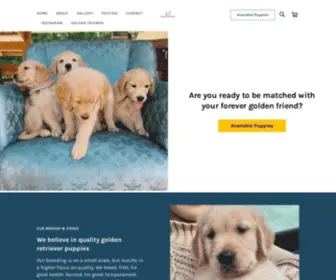 Goldenfriendskennel.com(Golden Retriever Puppies for Sale) Screenshot