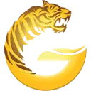 Goldenglobetigers.org Favicon