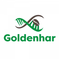 Goldenhar.it Favicon