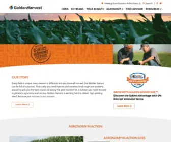 Goldenharvestseeds.com(Golden Harvest Seeds) Screenshot