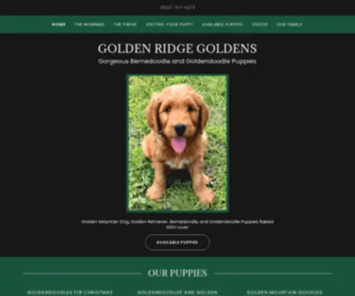 Goldenridgegoldens.com(Goldenridgegoldens) Screenshot