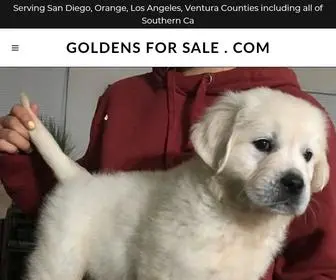 Goldensforsale.com(AKC Registered Golden Retriever Puppies for Sale) Screenshot