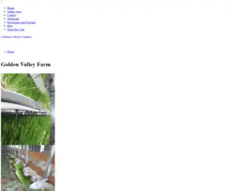Goldenvalleysheep.com(Golden Valley Farm) Screenshot