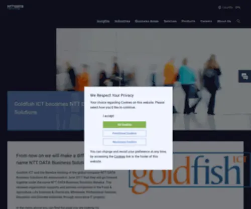 Goldfish-ICT.com(Goldfish ICT) Screenshot