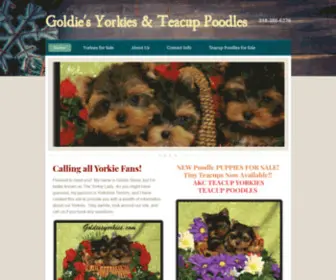 Goldiesyorkies.com(Goldie's Yorkies & Teacup Poodles) Screenshot